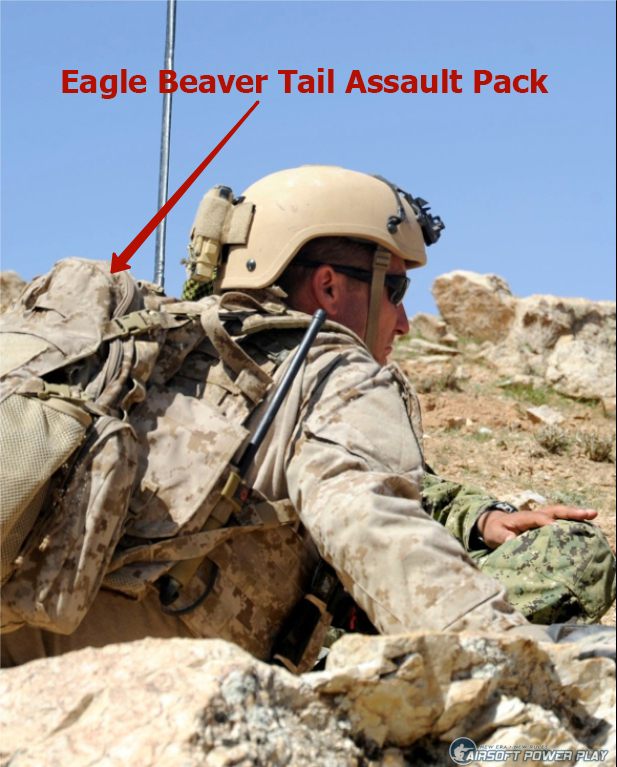 Eagle Beaver Tail Assault Pack aor1
